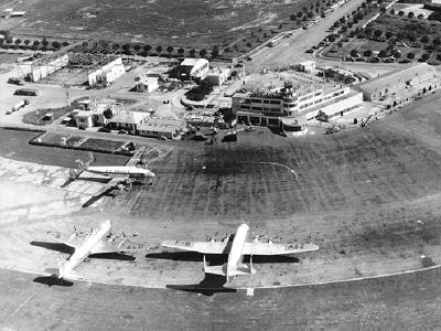 lyonbron1964
